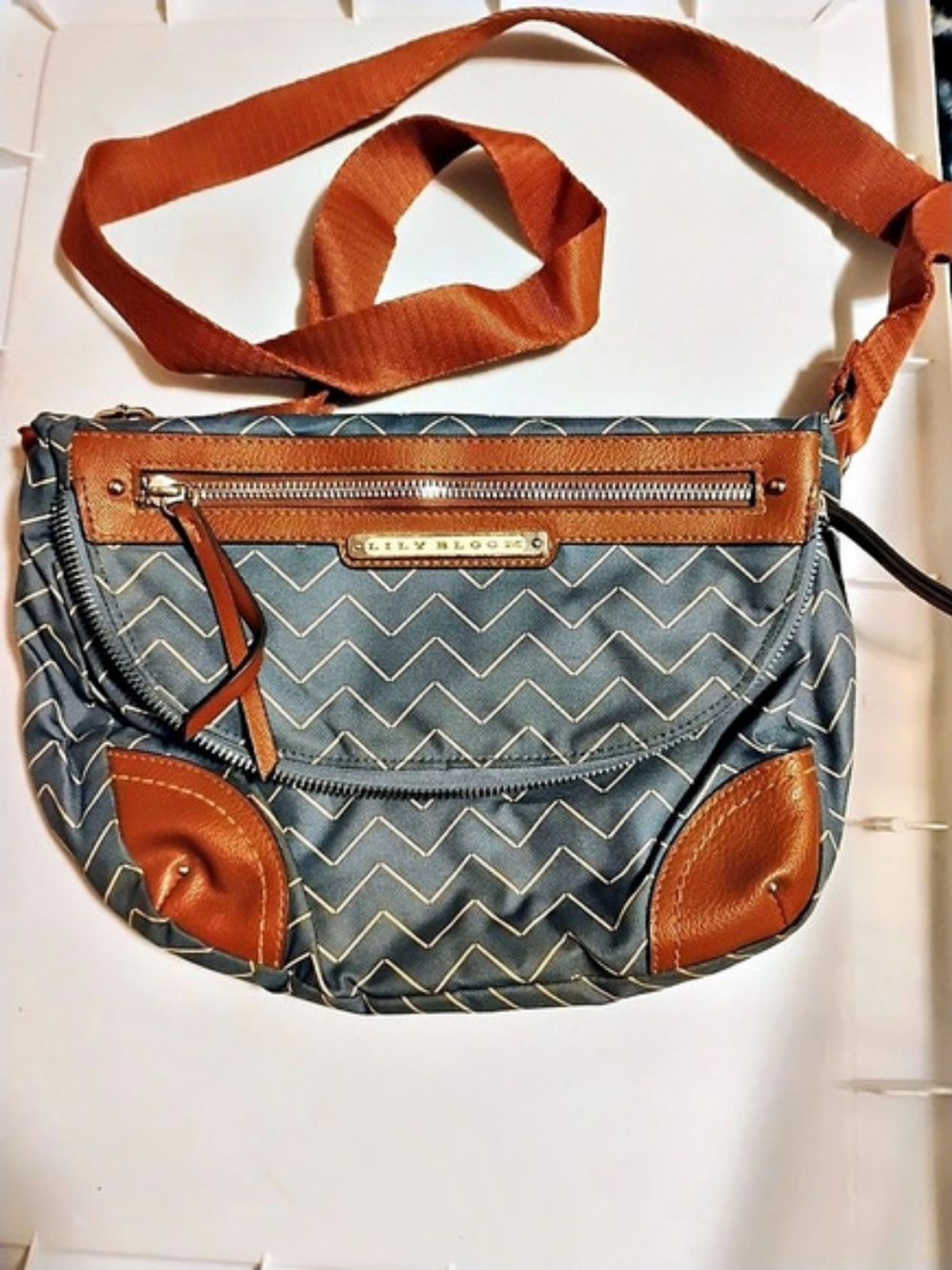 Lily Bloom Chevron Shoulder Bag in Blue & Brown